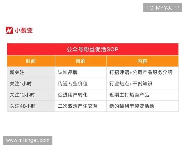 MK官网体育为用户带来多样化体育娱乐体验与专业赛事分析指南